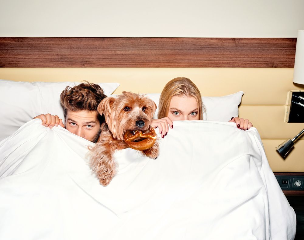 Pet-Friendly