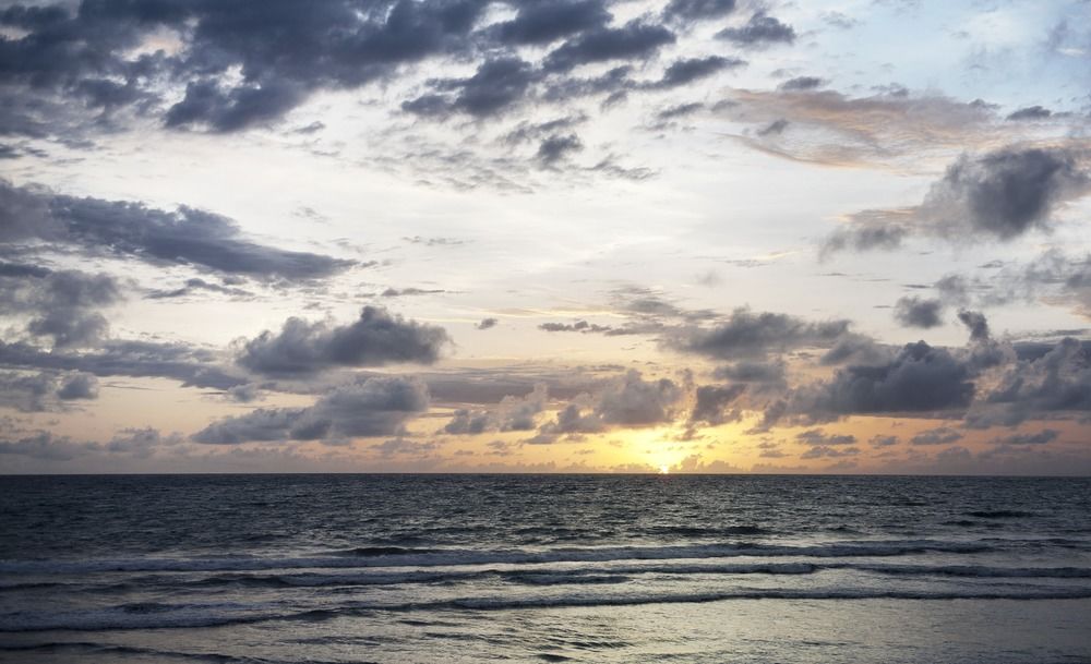 Beach/Ocean View