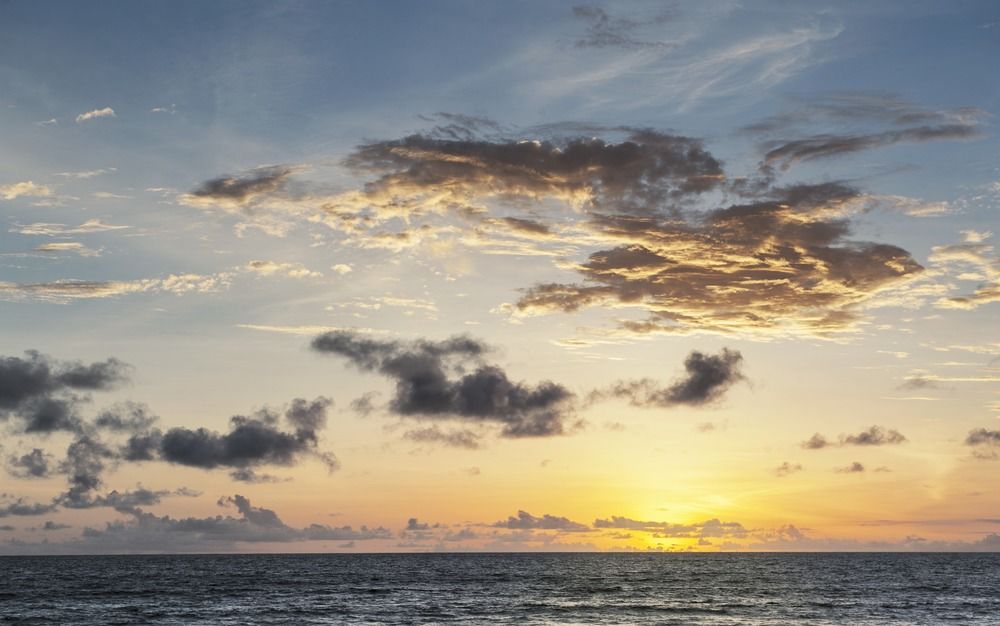 Beach/Ocean View