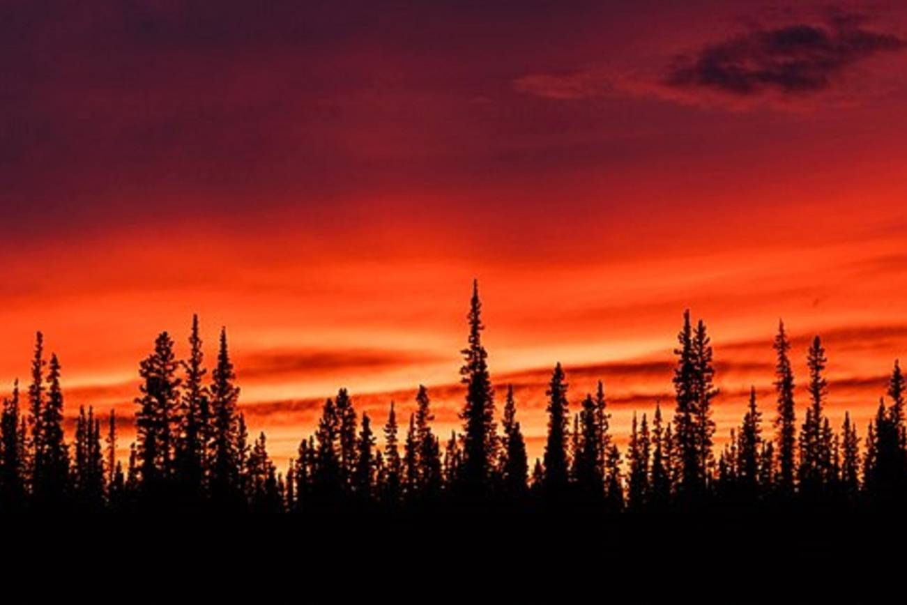Tok, AK