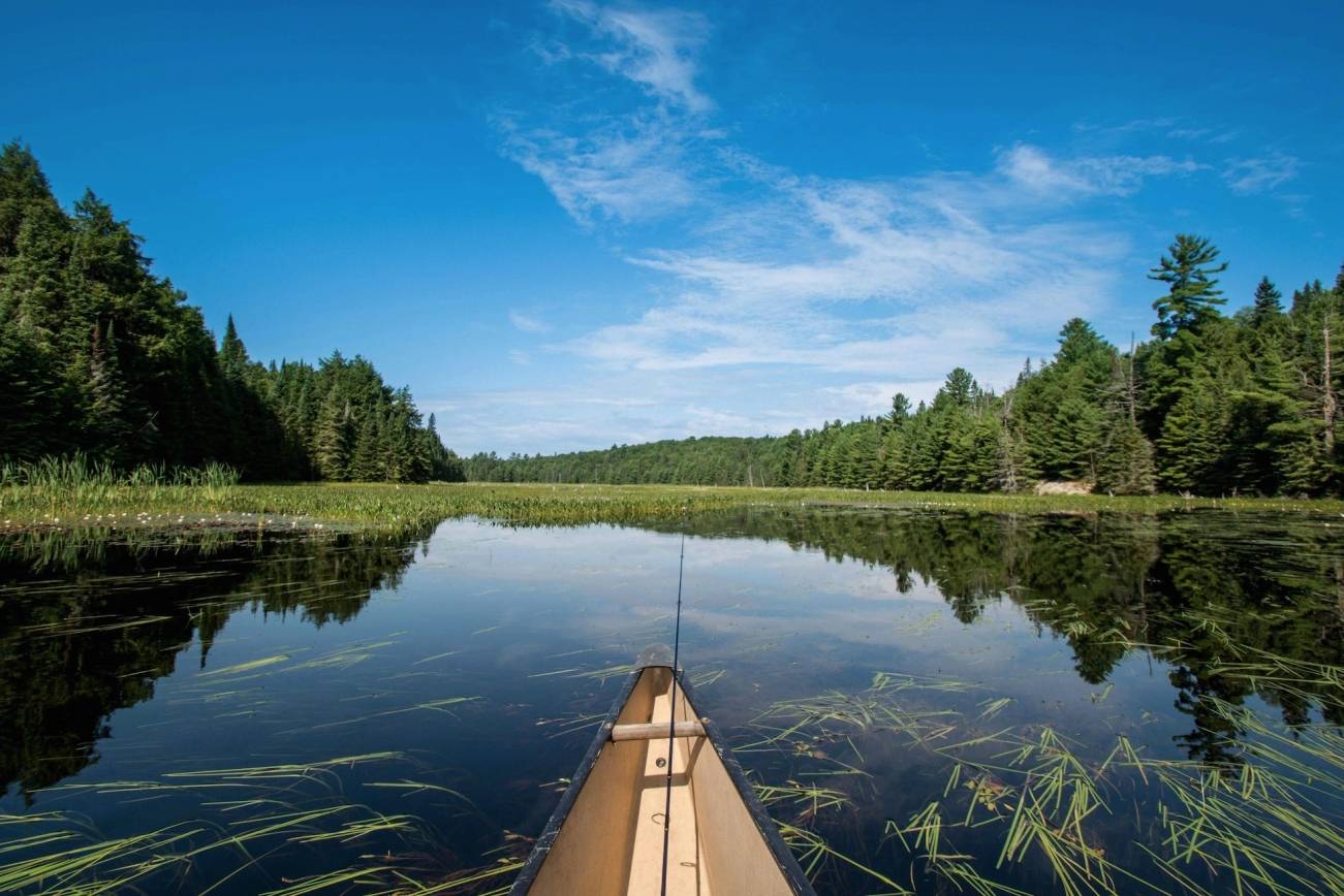 Algonquin Provincial Park