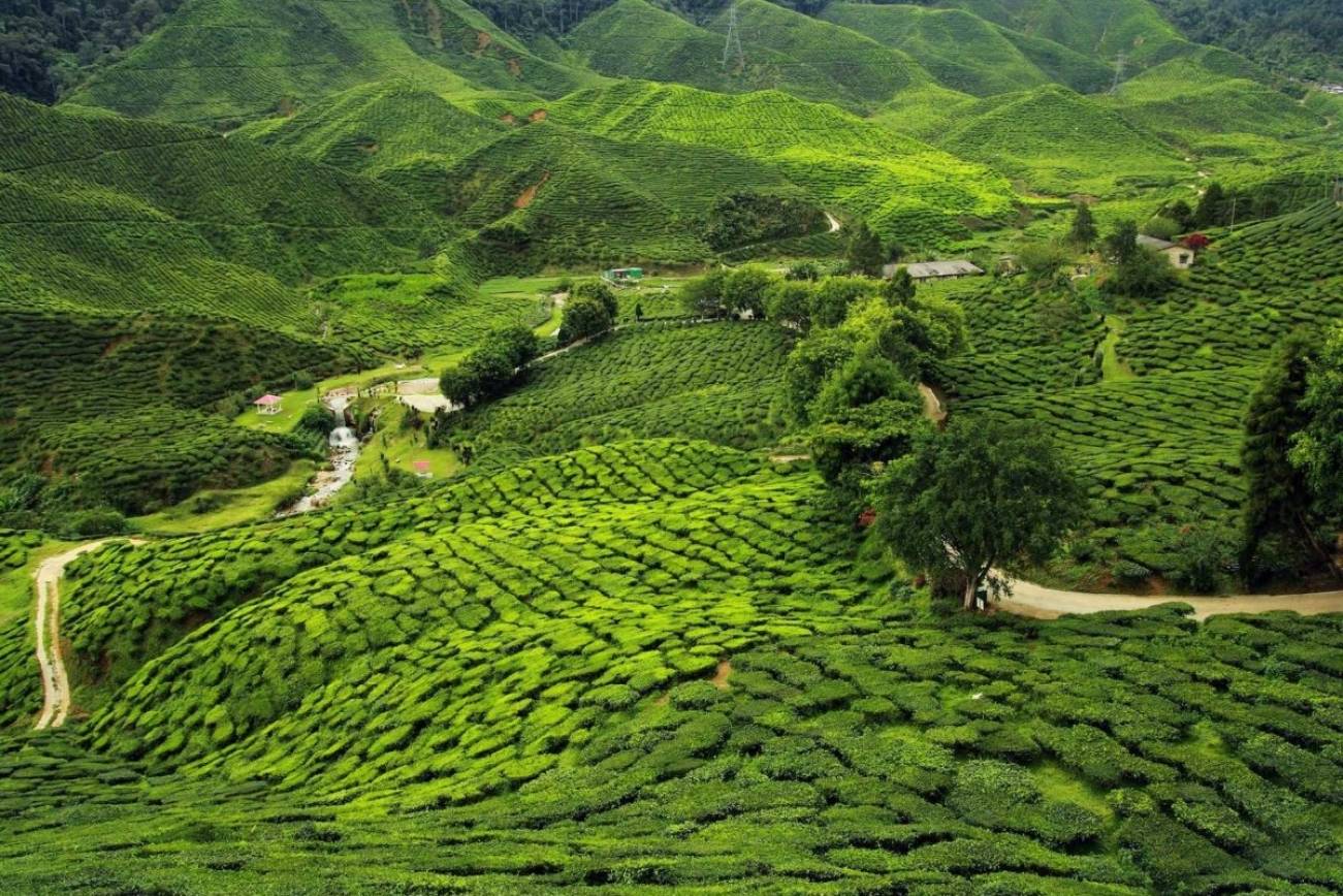 Assam