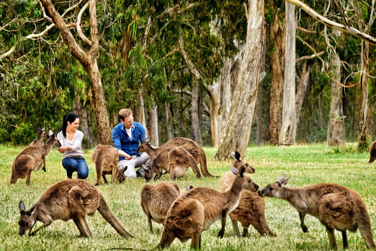 Adelaide