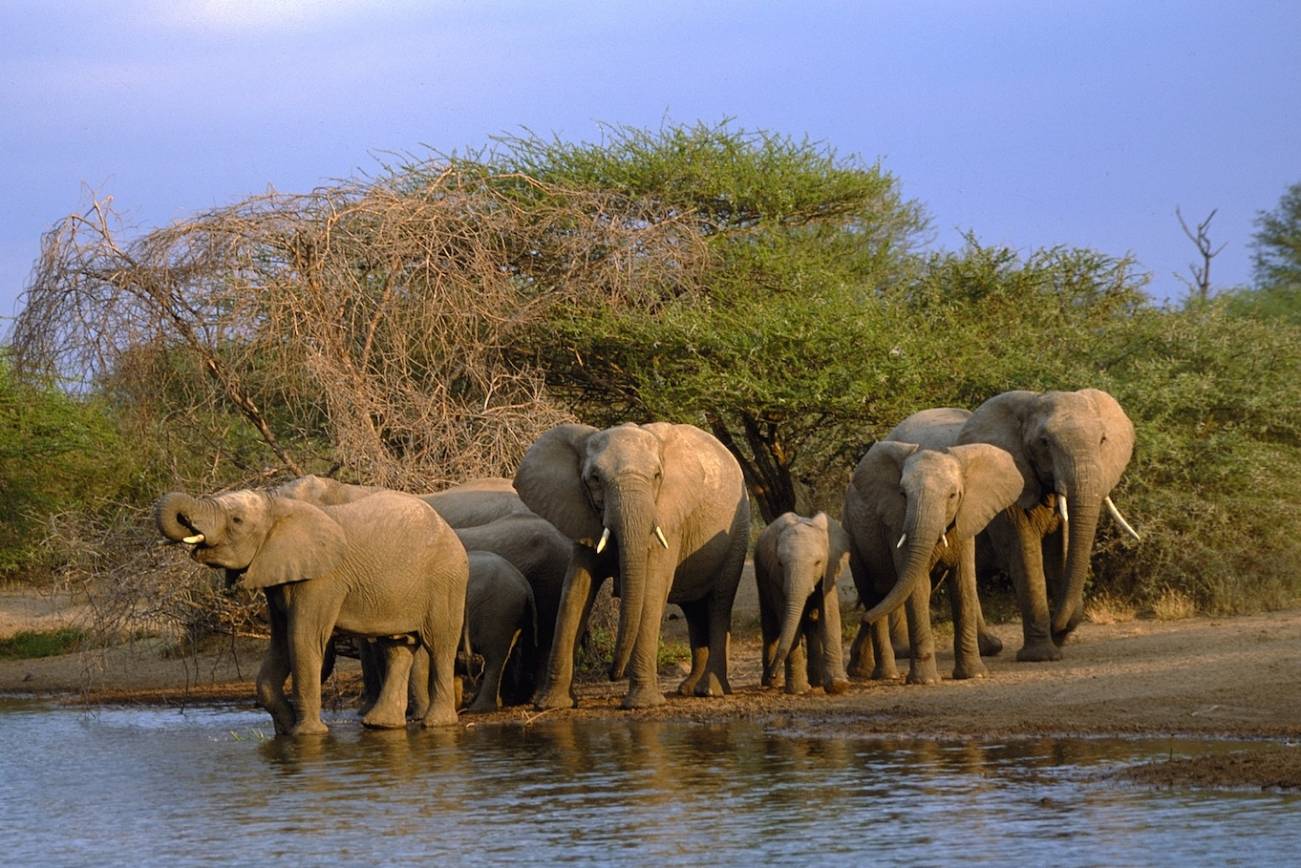 Kruger National Park