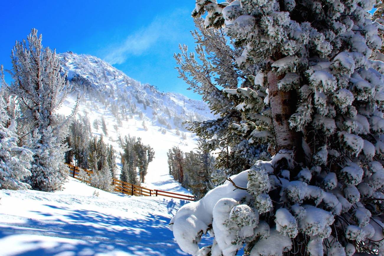 Mammoth Mountain