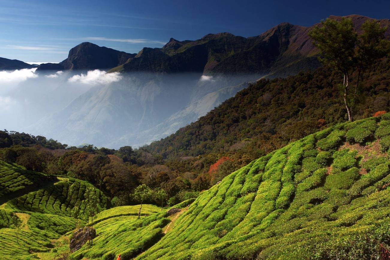 Munnar