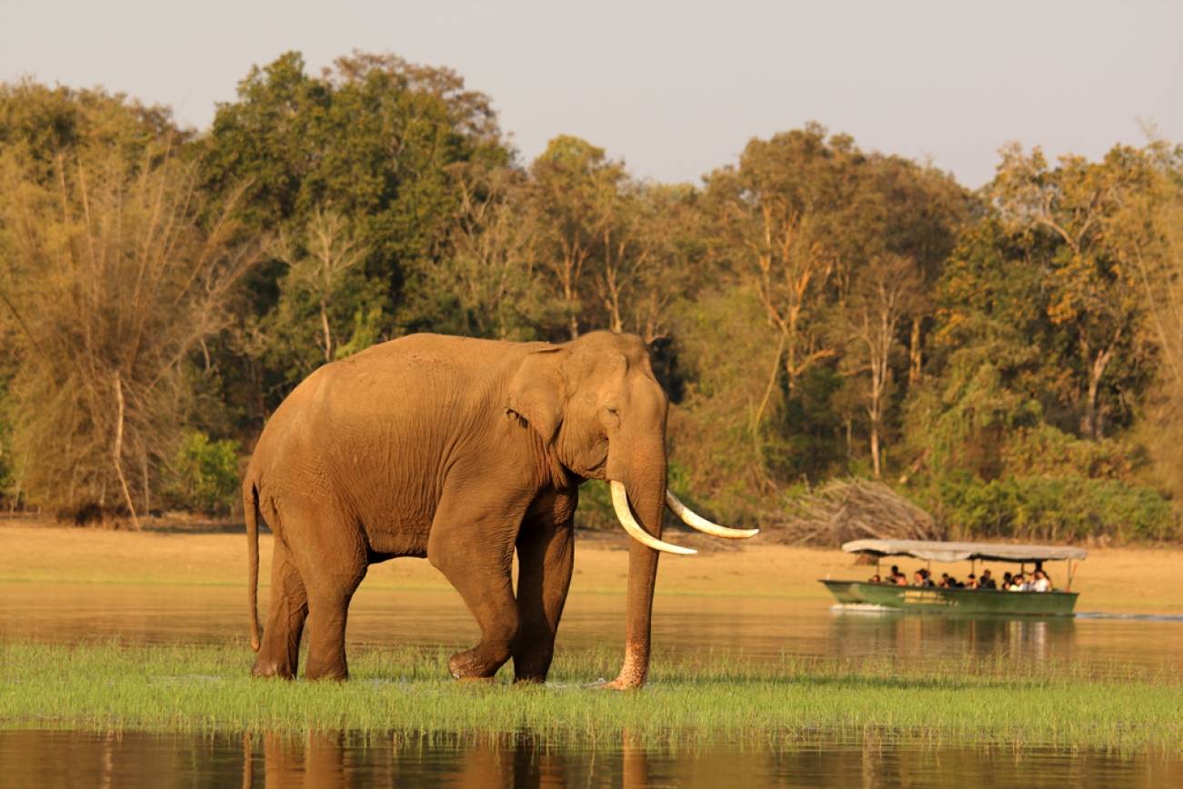 Nagarhole National Park