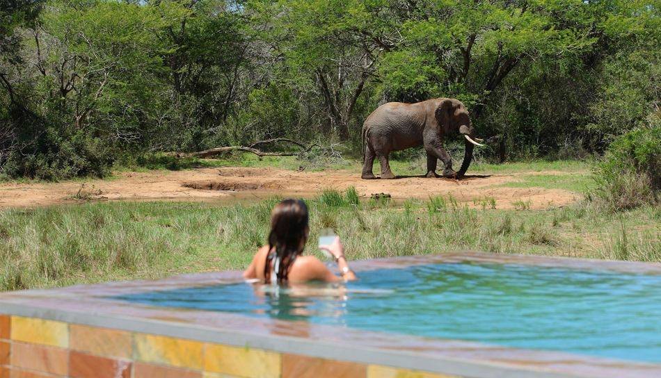 Phinda Private Game Reserve
