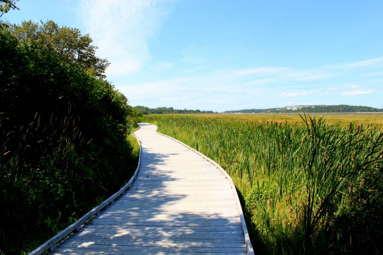 Rimouski, QU
