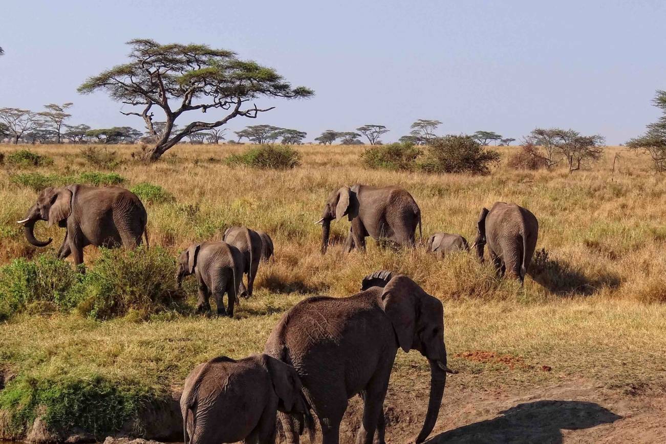 Serengeti National Park