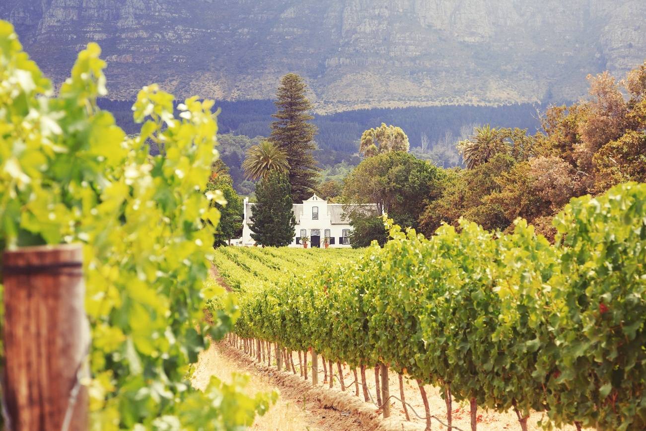 Stellenbosch