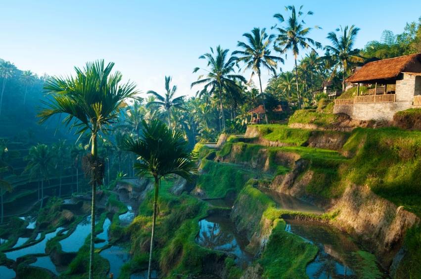 Ubud