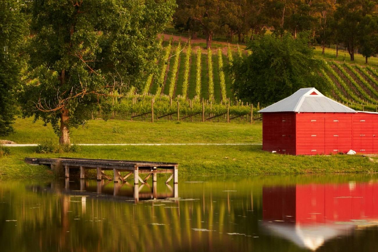 Yarra Valley and Dandenong Ranges