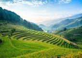 Chiang Mai