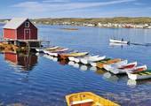 Newfoundland