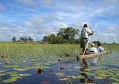 Okavango Delta