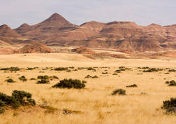 Damaraland