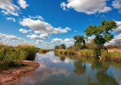 Kruger & The The Escarpment