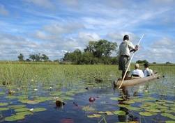 Okavango Delta