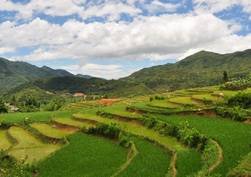 Sapa