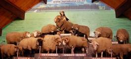 Agrodome