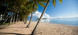 Palm Cove Beach