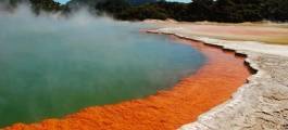 Wai-o-tapu Thermal Wonderland