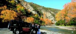 Wakatipu Basin Safari of the Scenes 4WD Tour