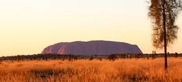 Uluru