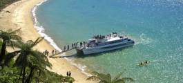 Abel Tasman Seals & Beach with Transfers