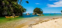 Abel Tasman Beaches, Bays & Seals - Guided Kayaking Trip