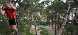 Adrenalin Forest