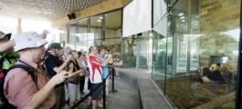 Adelaide Zoo