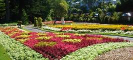 Wellington Botanic Garden