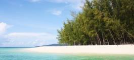 Bamboo Island