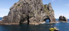 Bay of Islands Discover the Bay Cruise