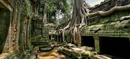 Bayon & Ta Prohm Temples