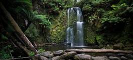 The Great Otway National Park