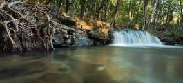 Berry Springs