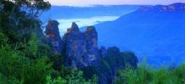 Blue Mountains & Australian Wildlife Tour