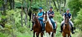 Briars Forest and Riverside Horse Trek, Te Puke