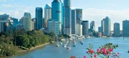 Brisbane City Sights, River Cruise & the Wheel