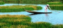 Ca Mau - Swamps, rivers and Mangrove forests