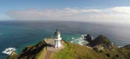 Cape Reinga Wanderer Tour