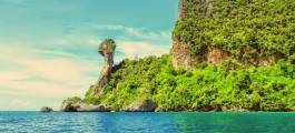 Chicken Island