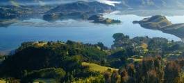 Otago Peninsula