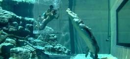 Crocosaurus Cove