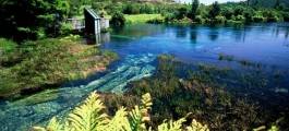 Crystal Clear Te Waikoropupu Springs