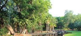 Darwin Botanic Gardens