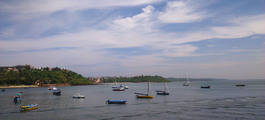 Dona Paula